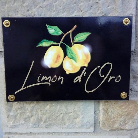 Limon D'Oro Villa Monte San Savino Exterior photo
